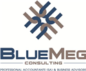 Bluemeg Consulting
