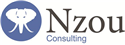 Nzou Consulting