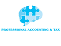 Professional Accounting & Tax Services (Pty) Ltd