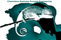 Chameleon Business Process Engineering (CBPE)