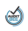 Audit BEE Inc