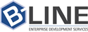B-Line Enterprise Development Services (Pty)Ltd
